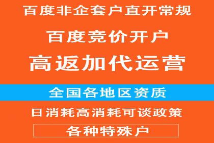 SEO与SEM优化案例：打造行业领先品牌